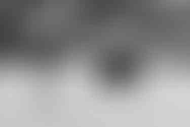 Familienfotogorafie_outdoor