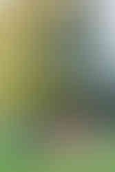 Familienfotoshooting_Andelfingen