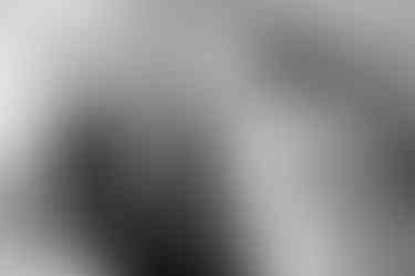 Hochzeit lustiges Gruppenfoto