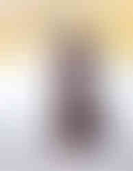 Hundefotografie_Winterthur