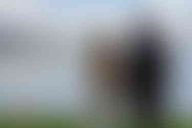 Hochzeitspaar mit Regenbogen