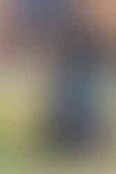 Hundefotografie_Winterthur