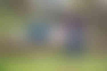 Schwangerschaftsfotografie