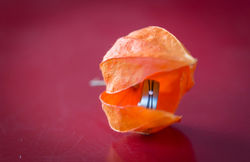 Hochzeitsfotografie, Winterthur