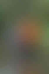 kinderportrait_winterthur