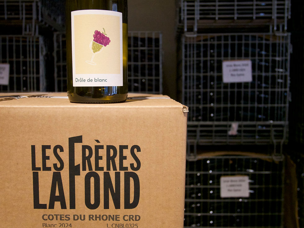 IDENTITE VISUELLE.jpg