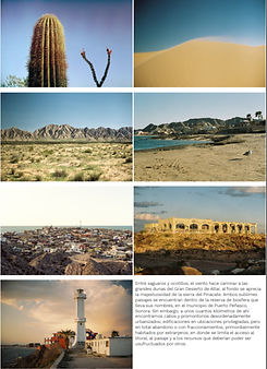 image (4)_edited.jpg