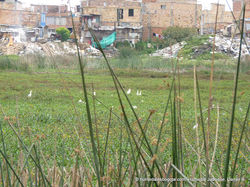 Territorio Jaboque