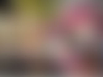 Bezerros cancela Carnaval dos Papangus