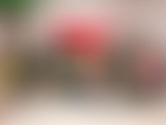 Apae Caruaru realizou culminância do projeto “Ler é Compartilhar Amor”