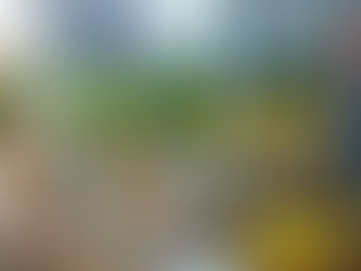 Eduardo Henrique está em evento no Polo Caruaru