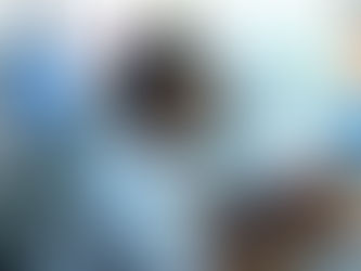 Festival da Confecção de Cupira começa na 5ª feira