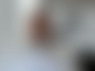 Alepe aprova auxílio carnavalesco para artistas e agremiações