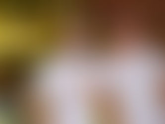 Festa de Momo nas comemorações de niver