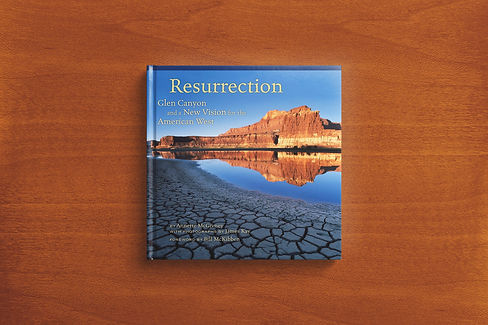 BOOKS_RESURRECTION.jpg