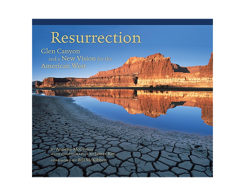 Ressurection_FlatCover_Transparent.png