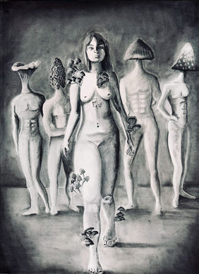 The Persistence of Fungi