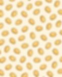 Multi Madeleine Design.png