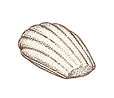 Madeleine Web Size.png