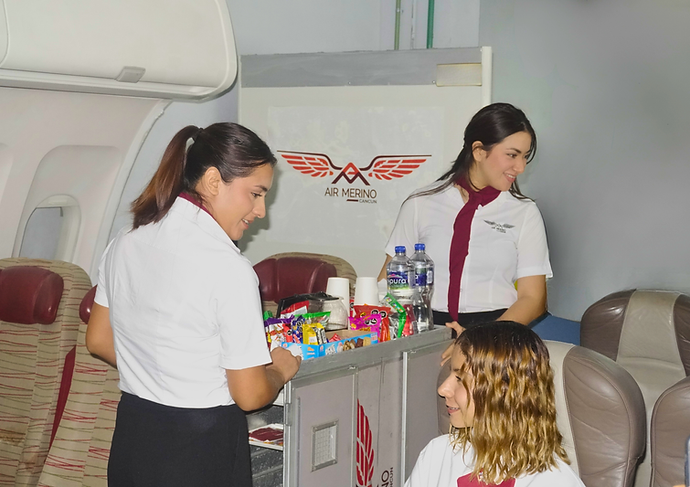 SIM A320 (7).png