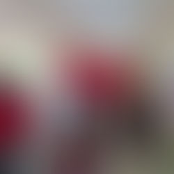 Helera ng mga bagong opisyal ng Limay SHS GPTA, naihalal na