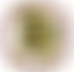 EDITORIAL BOARD, S.Y. 2020-2021