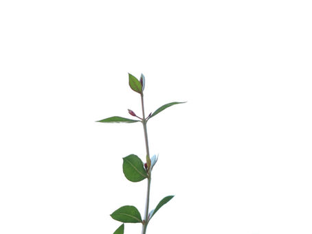 Discover the Benefits of Skin Tightening Treatments