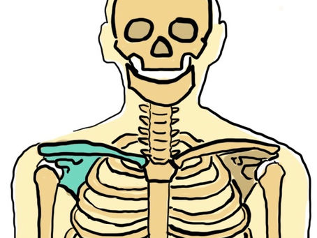 肩と頸、そして腕