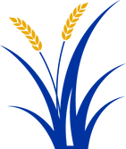 2-color icon.png