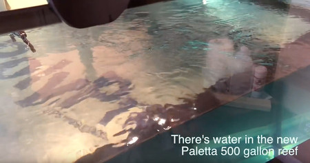 The Paletta 500 Gallon Reef Tank Build Out - Phase I - starting a large saltwater tank