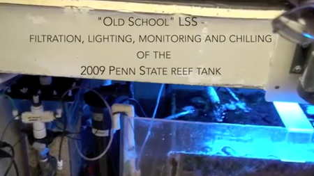 PSU Reef Tank 2009 - lighting filtration flow & chiller