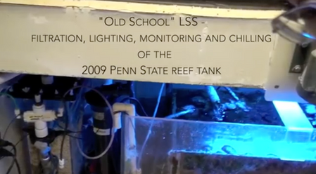 PSU Reef Tank 2009 - lighting filtration flow & chiller