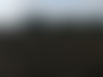 Sloe picking is well under way.