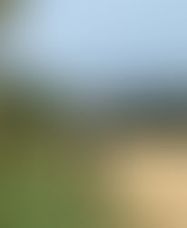 Max and me on our lockdown walk