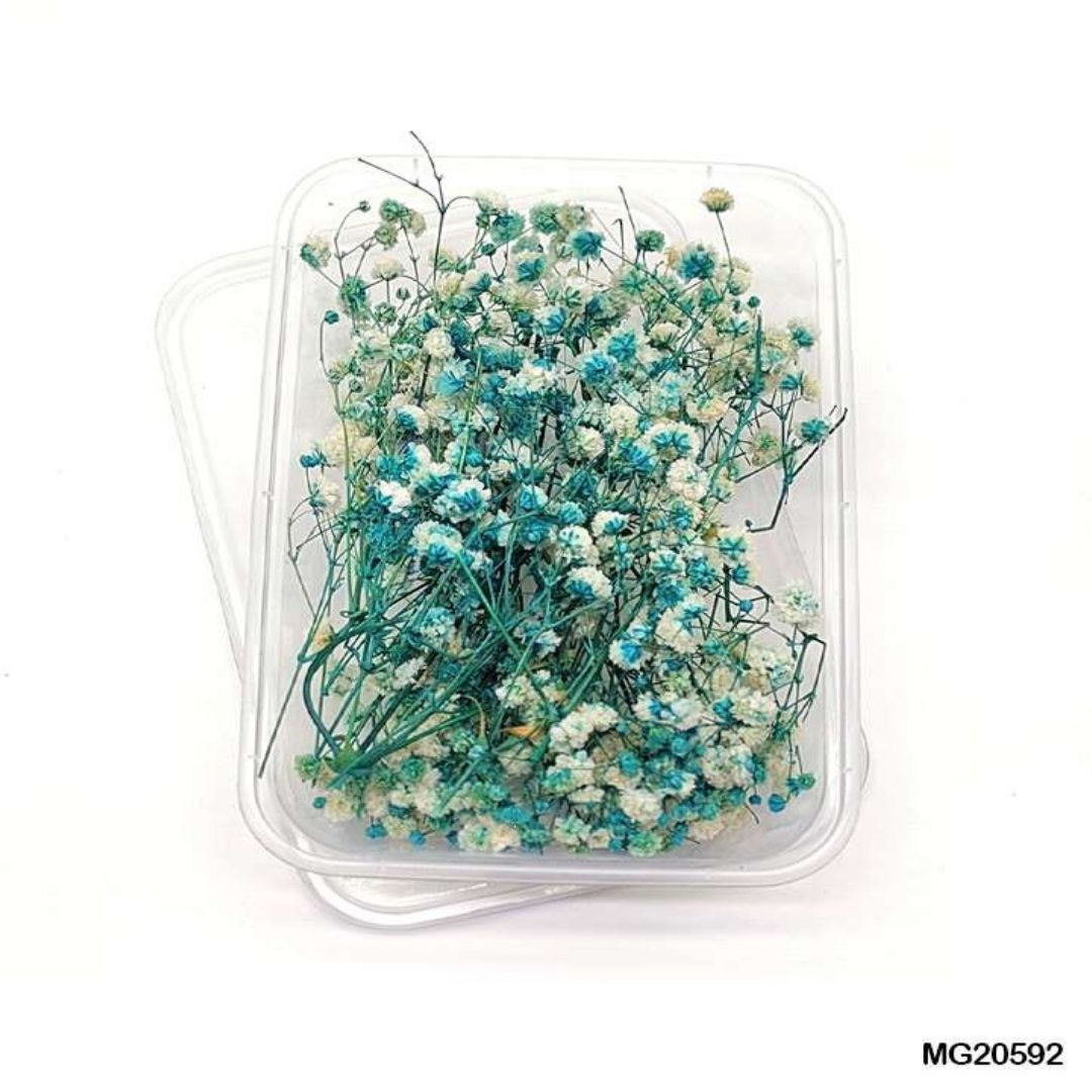 Dry Flower Box [MG20592]