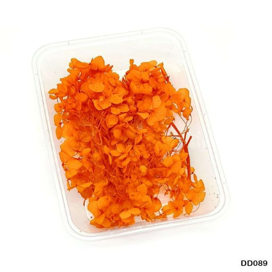 Dry Flower Box [DD089]