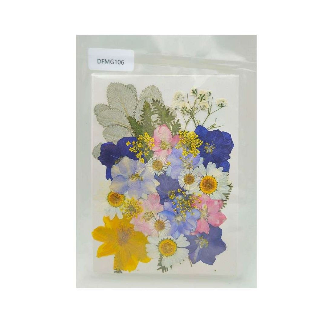 Dry Flower Sheet [DFMG106]