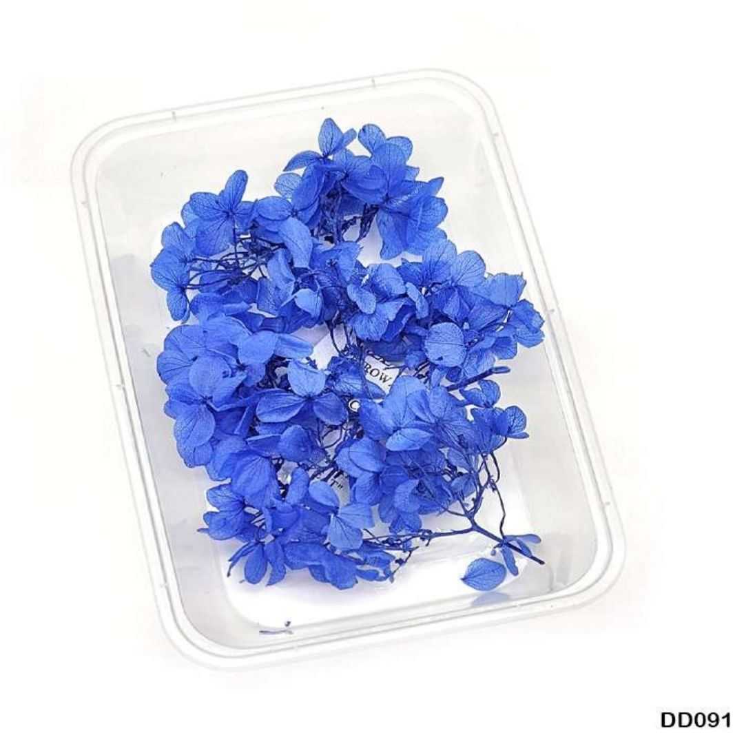  Dry Flower Box [DD091]