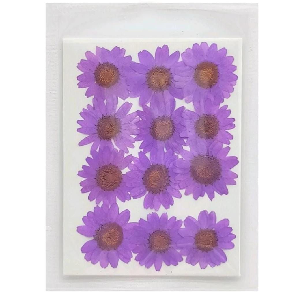 Dry Flower Sheet (12 pcs) [DF45-13]