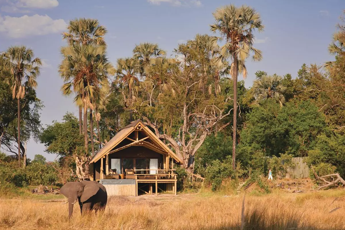 Botswana - A Luxurious Safari with a Conscience