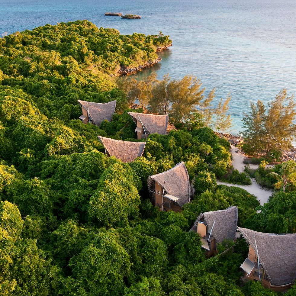 Luxury Eco-Tourism: Explore the World Sustainably 