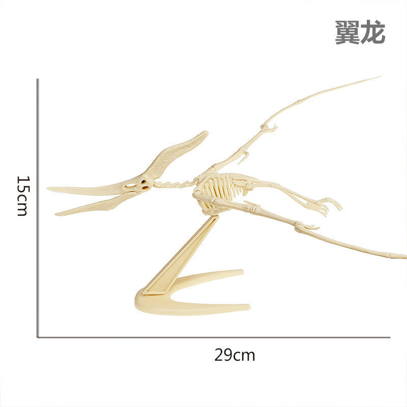 Thumbnail: Dinosaur Fossil Model (Assembly required)