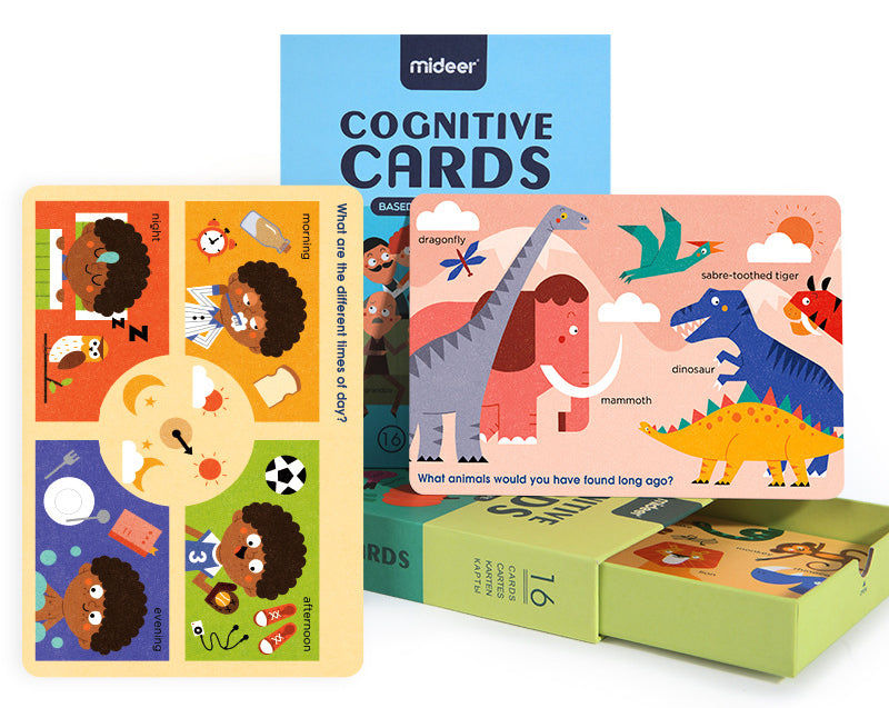 Thumbnail: Mideer Cognitive Card