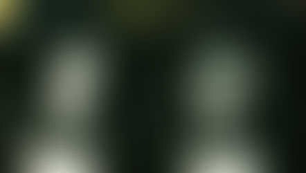 Stepping Quietly Into the New Year