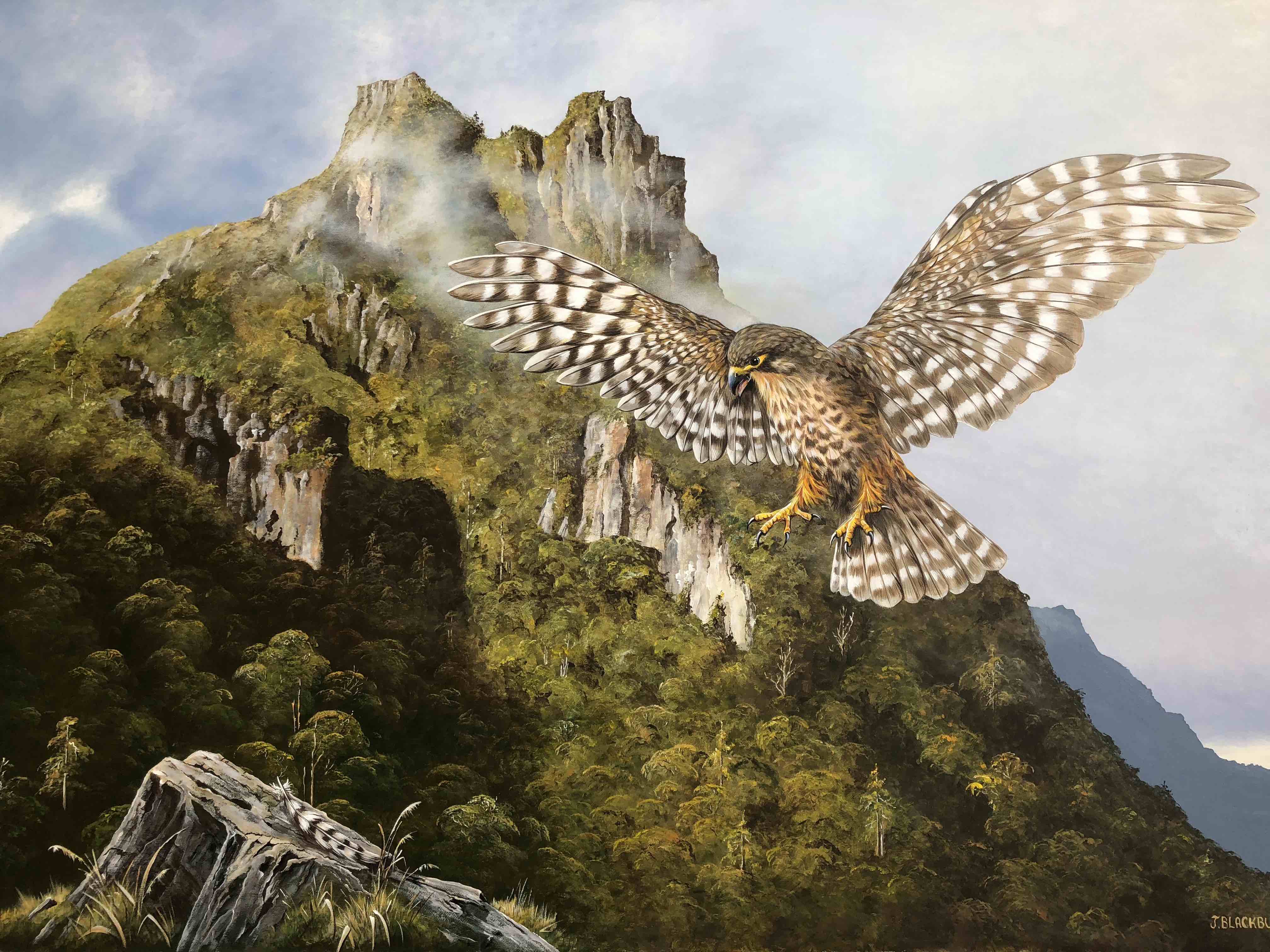 Wingspan