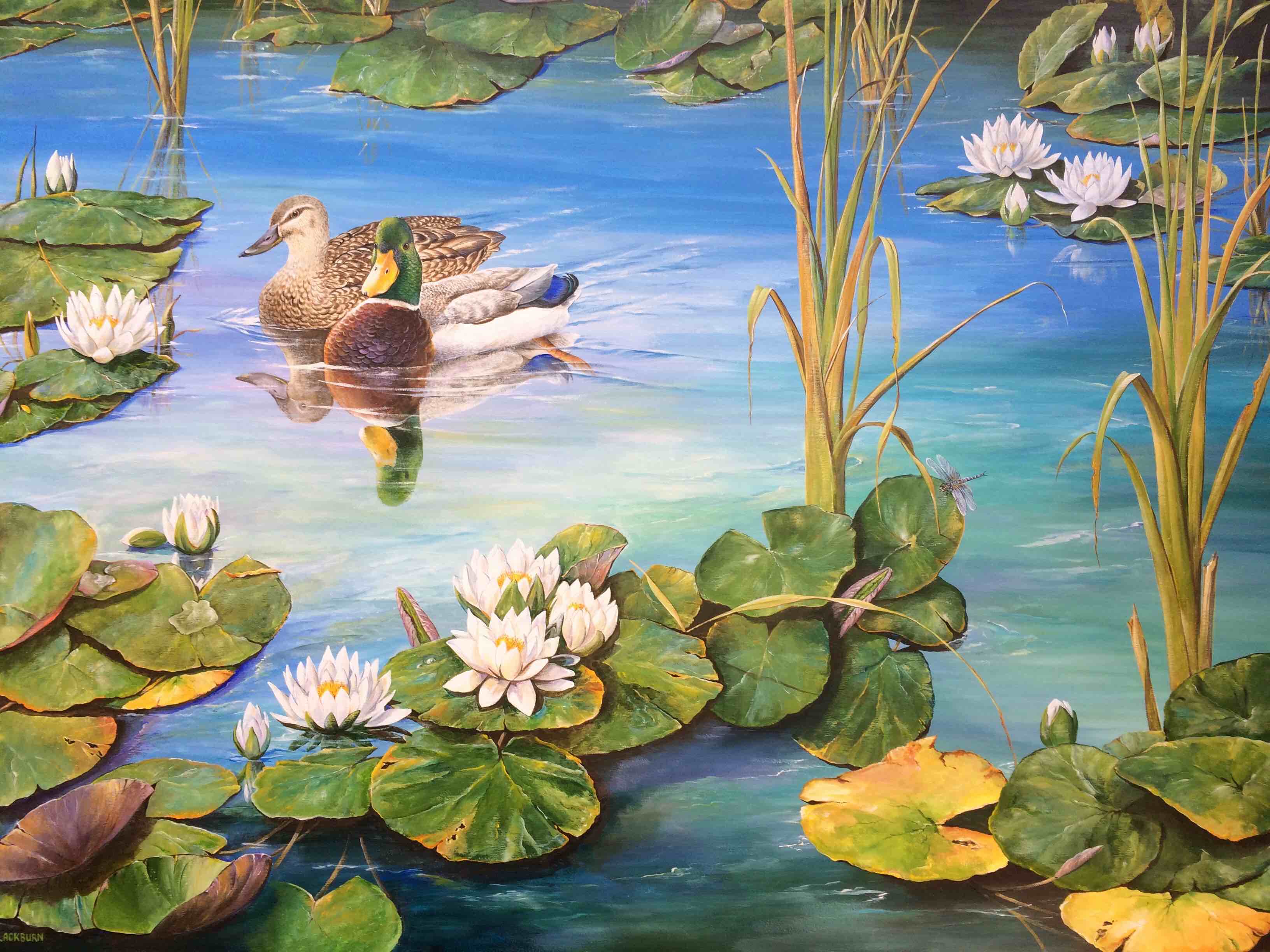 Mallards and Lily Pads