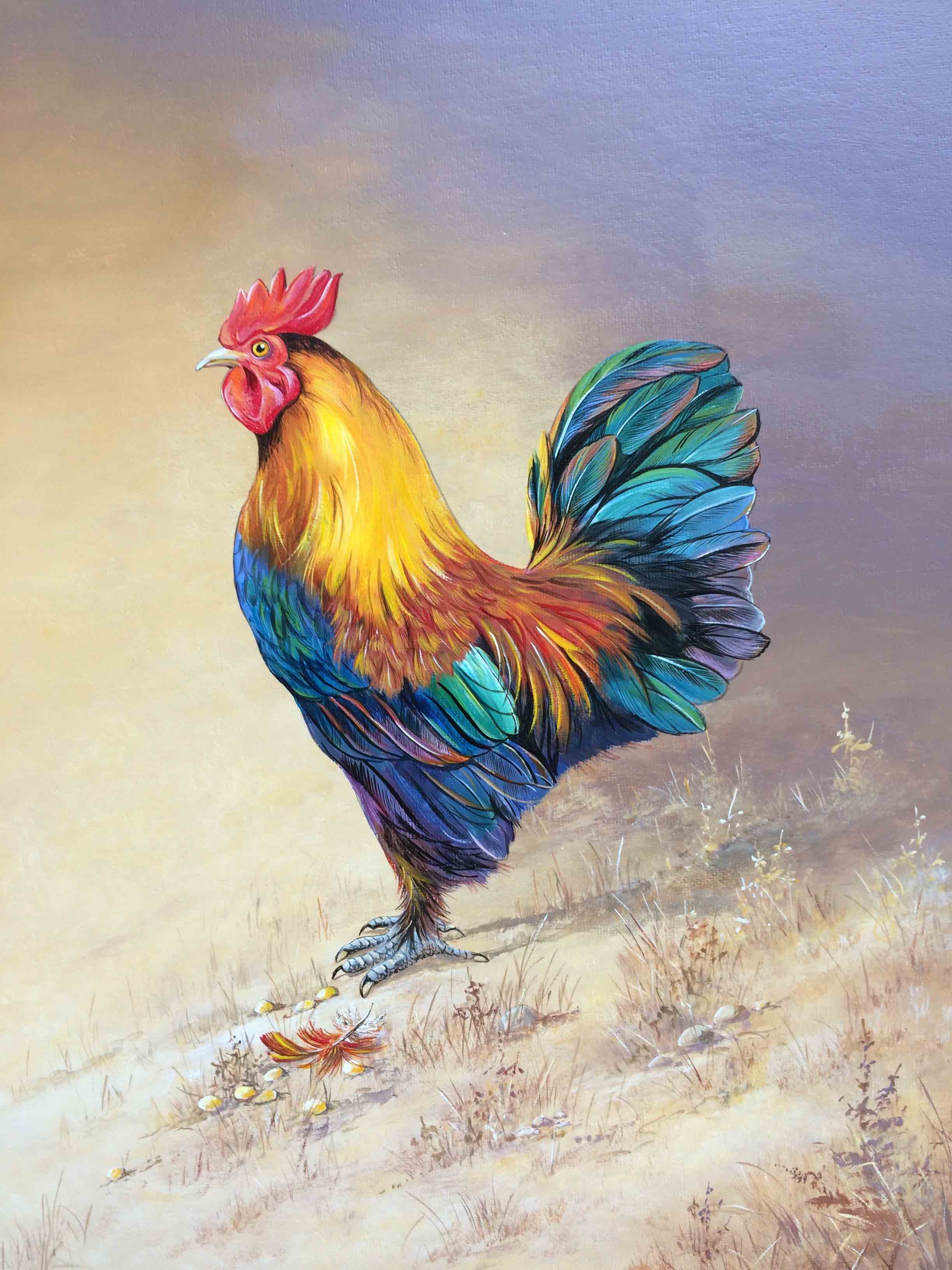Fine Feathers