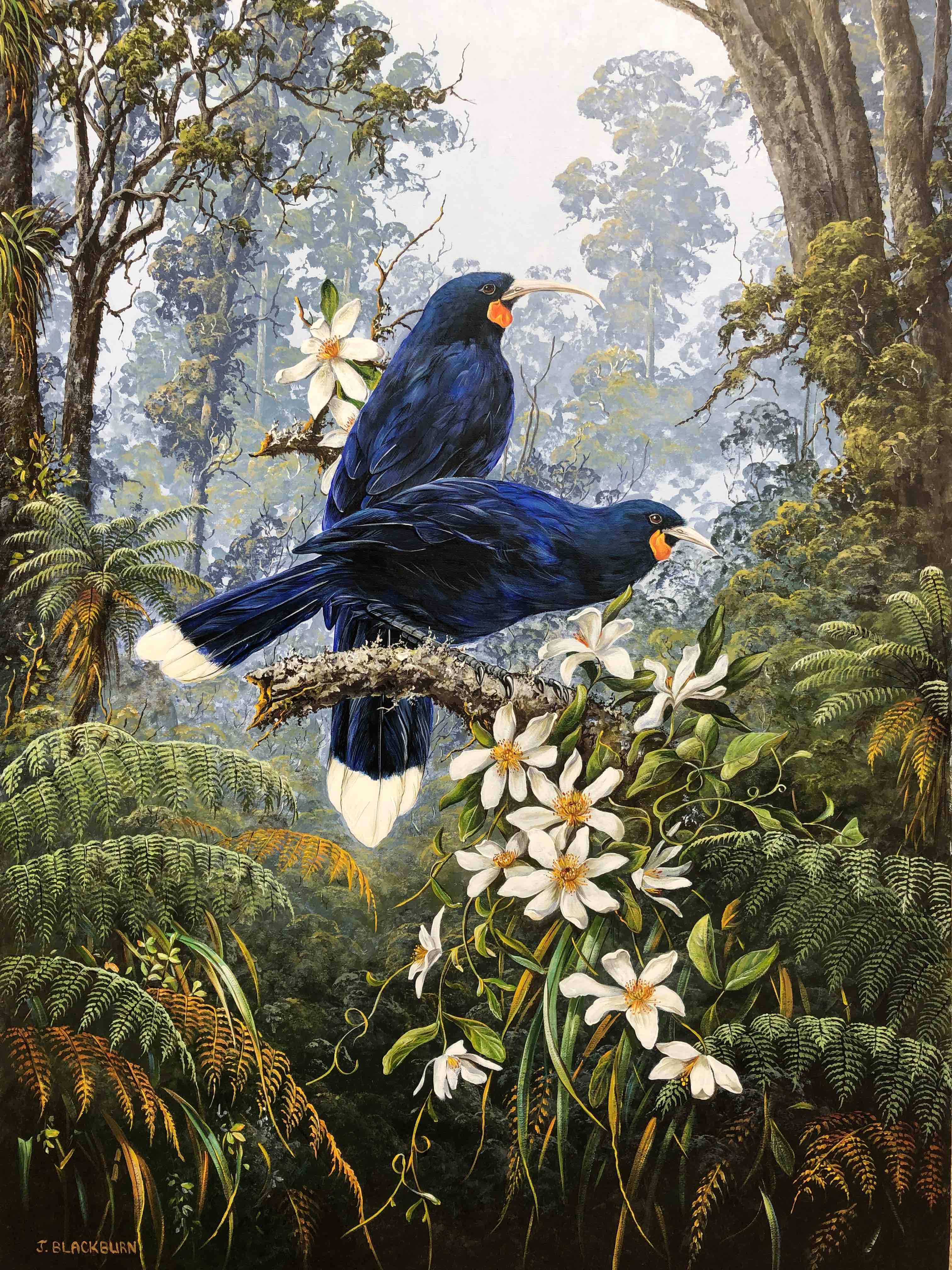 The Royal Maori Bird