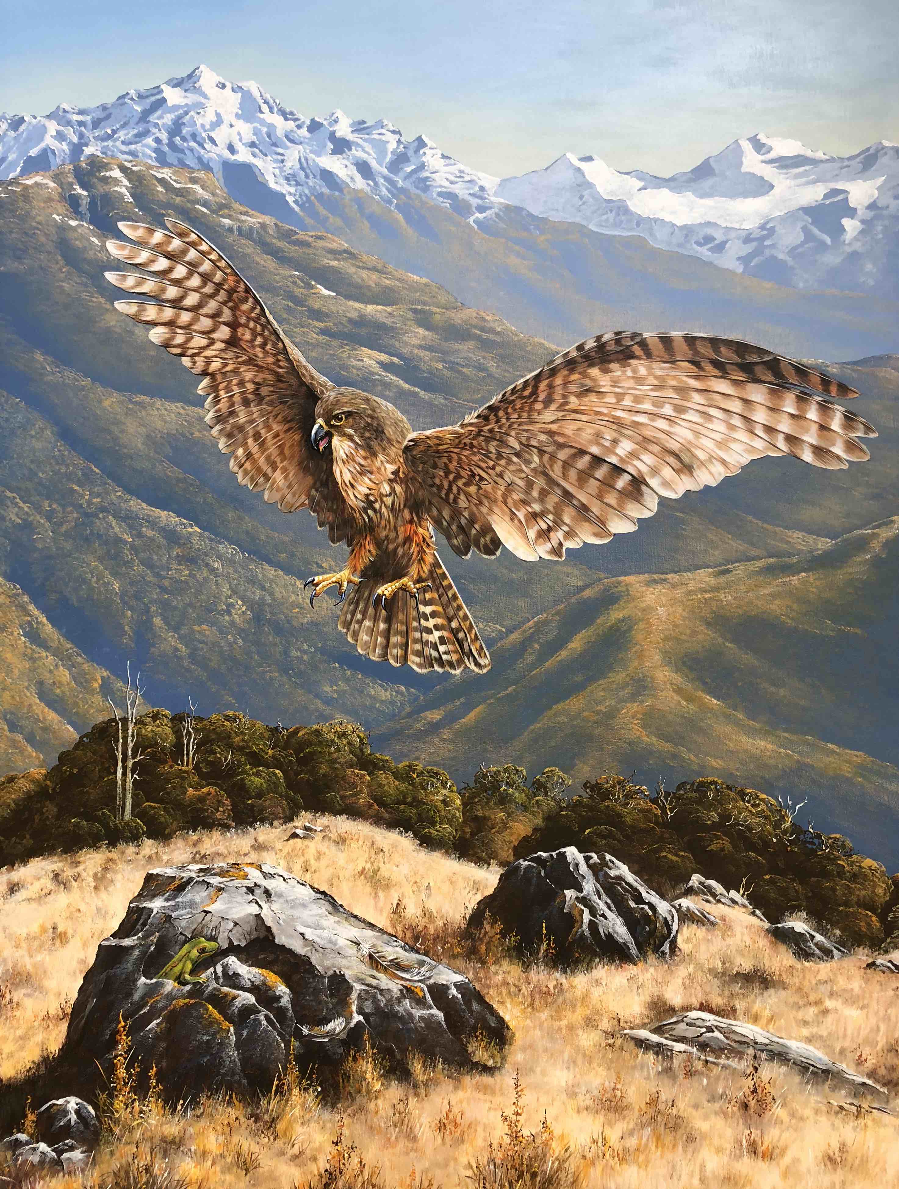 Wingspan