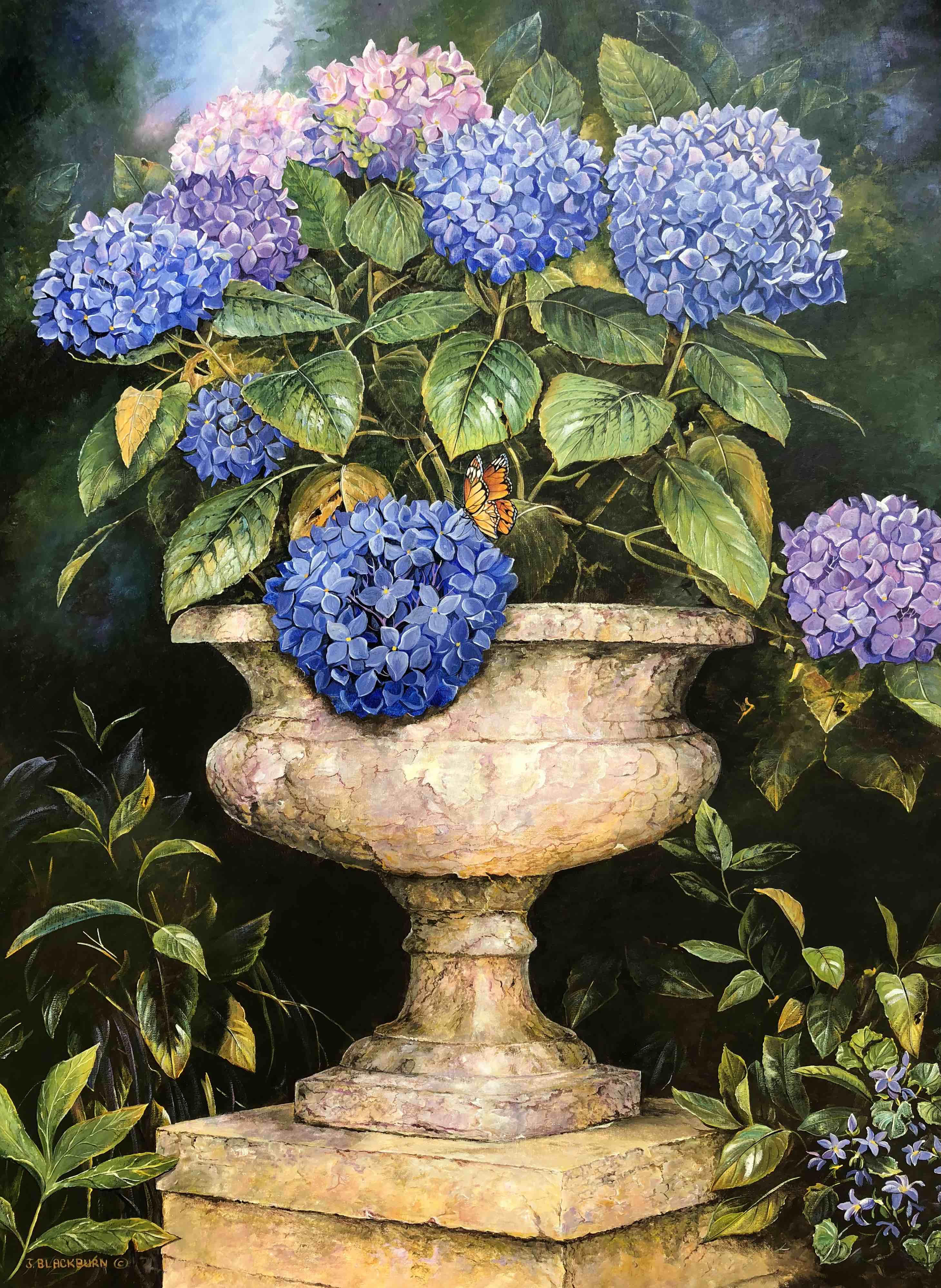 Hydrangeas